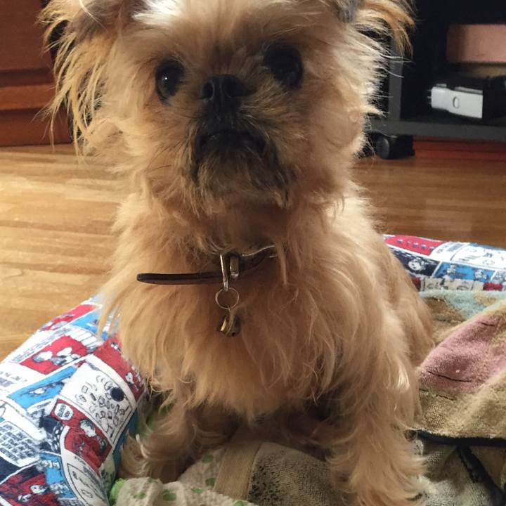 017389a9 ebd2 4cfc 86e2 d6bd8f385565