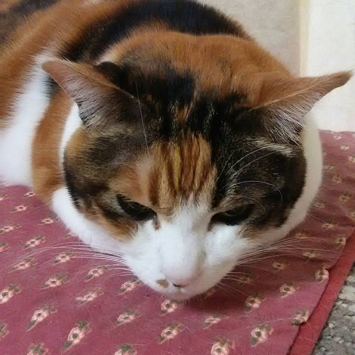 0173c972 b44b 473a ab79 8b8f0bf22f39