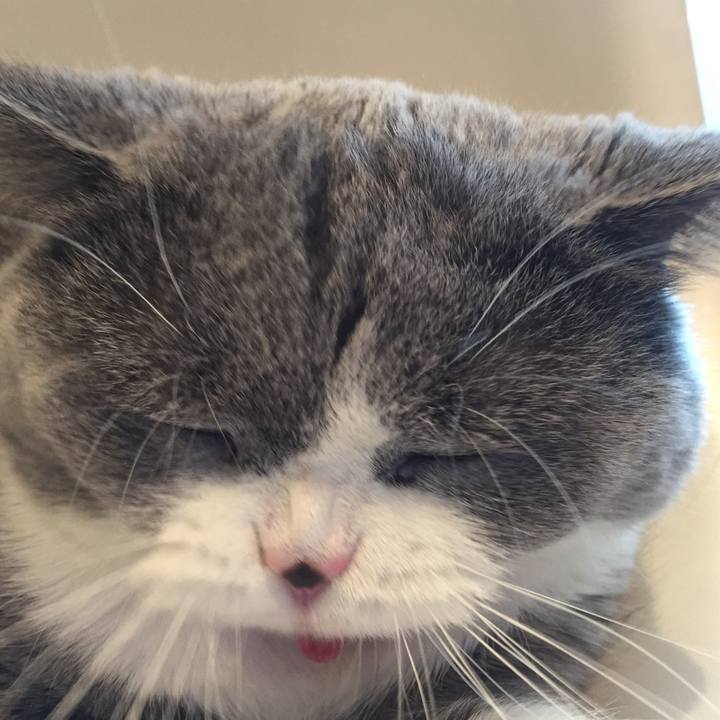 0173d54d 895d 4211 bdaf 6a5e7180a352