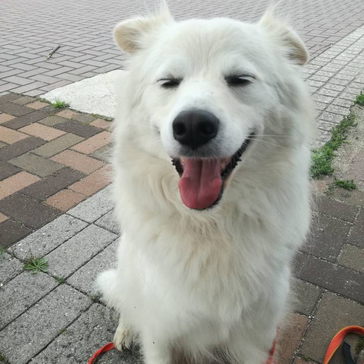 0173d570 017c 4d5f 98ab 45dbc74ec256