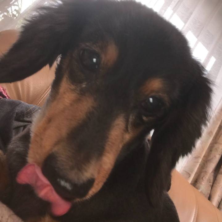 017451c5 c41f 4734 8cb9 40b90e781d50