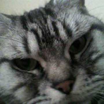 0174d7a2 6805 4d00 b159 6d78873202da