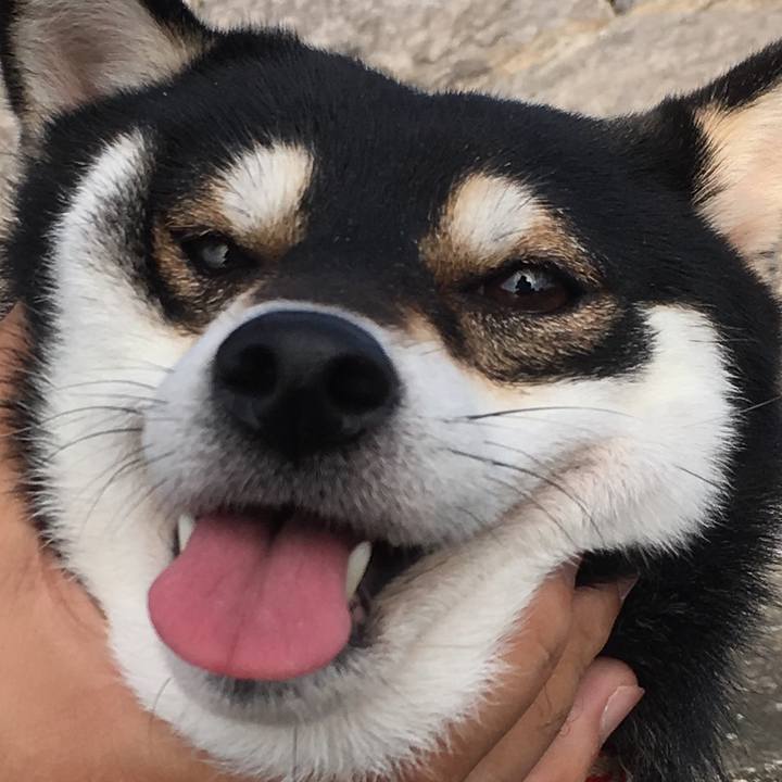 01752253 4ace 4e32 a7e5 25f9b2ac2257