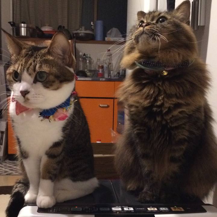 01755842 24f4 4065 be7b 556f89f40ef5