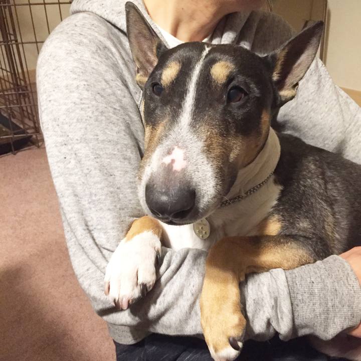 01757633 d3d0 4827 af6d c0dd773c519c