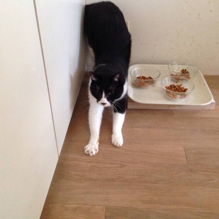 0175ca67 9d9b 4df2 bb4a 3614928e8f40