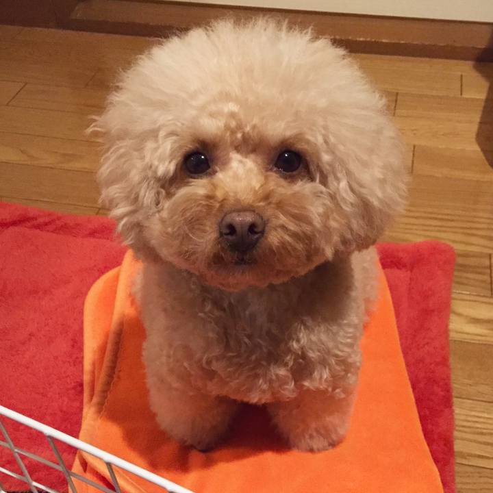 0175e725 d8a6 4834 91e9 f5b9b93595f4