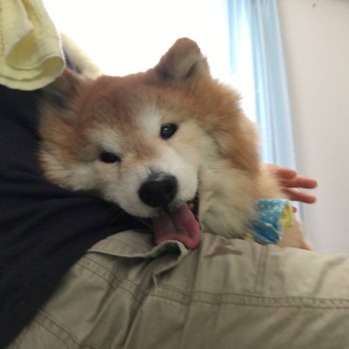 0176050a afe5 48e7 8cad 008fe3f2cba8