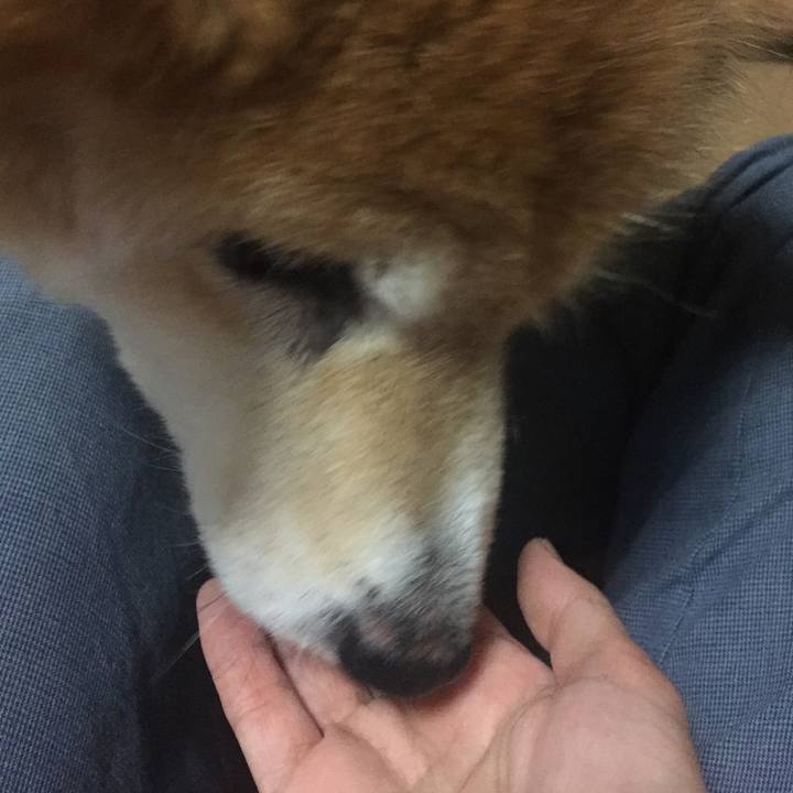 017624ea 5586 4837 8d60 433b04ae6b41