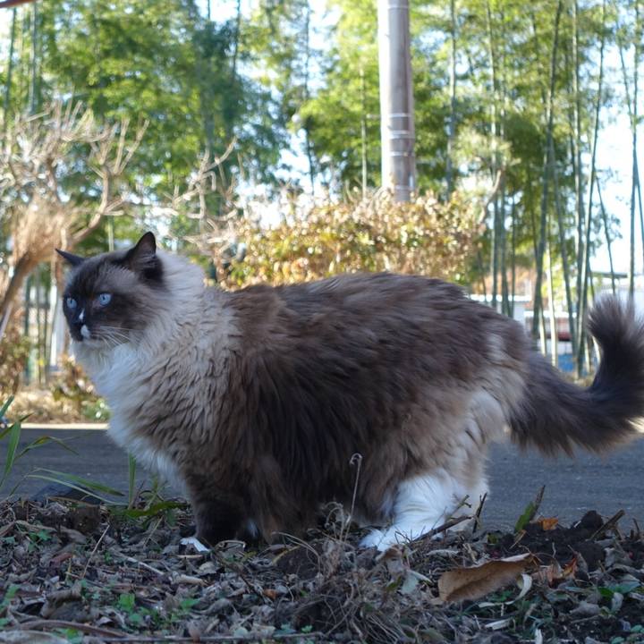 01762d20 503f 4069 be8e 51133f9507ee