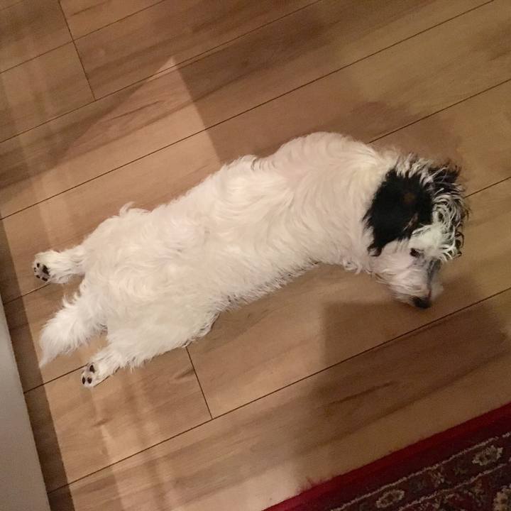 0176fa43 c839 46a6 a71f 63048109ba4f