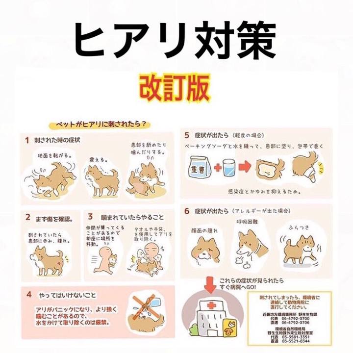 0177dc7f f701 4d6b a16c 2660239b7b48