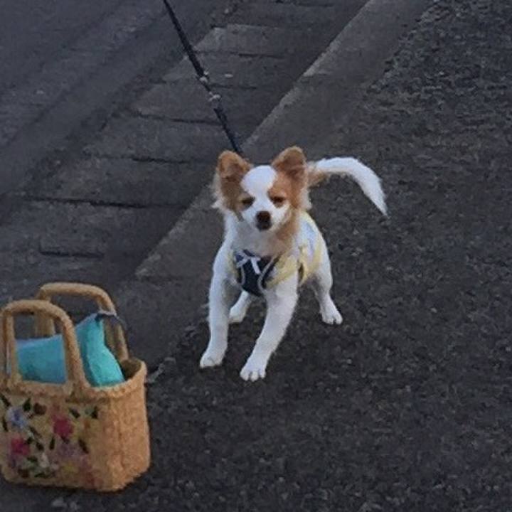 017803fd 89d4 4ce3 b365 fd11dd5826b2