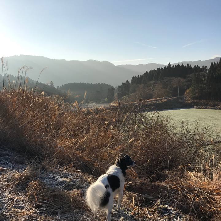 0178189c cba7 4471 853a 1de088a58c16