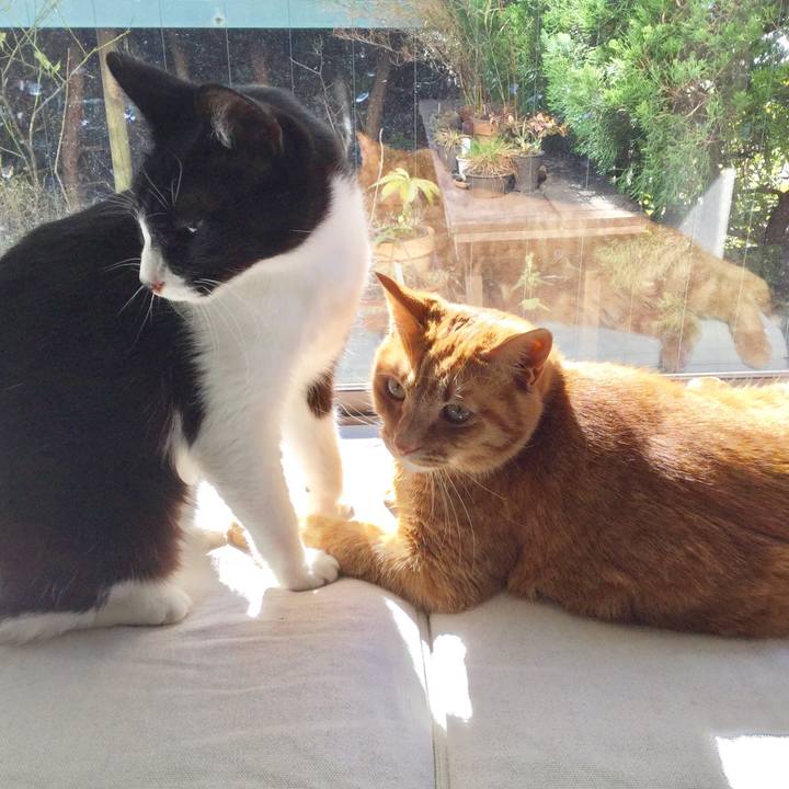 0178f284 d6c2 4d8e a42d e6d34d4b3170