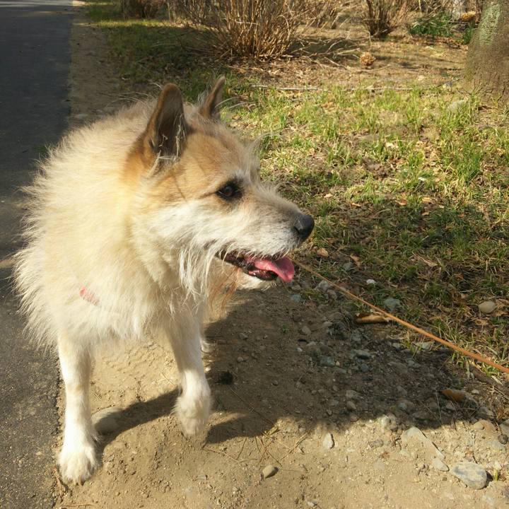 017913e8 16b5 4180 b725 c2f3766dd87d