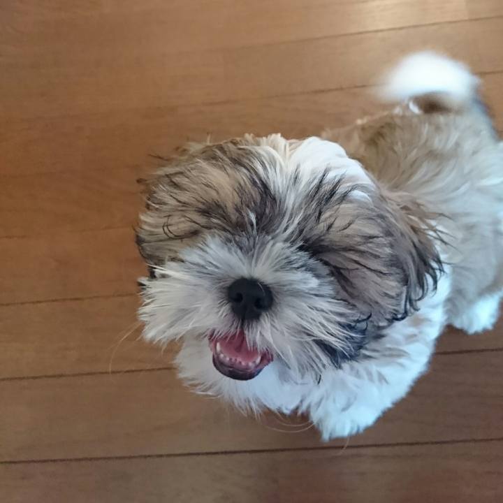 01792834 3646 4f58 bff9 4bef2f841fb0