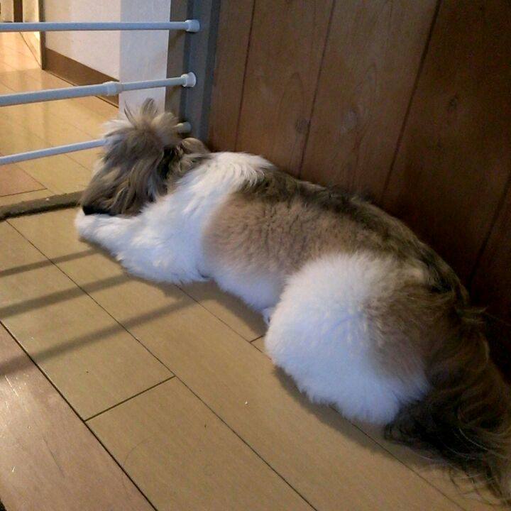 01795445 147c 41bd a357 fca882d00190