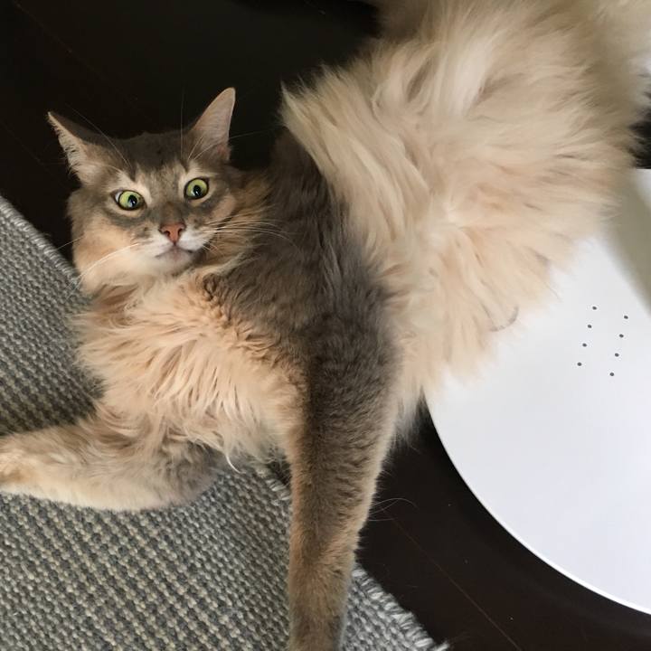 01799fcb f94f 49d4 b663 41bd7d919ba5