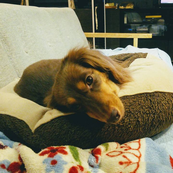 017a07f1 a1d8 49f6 a5a9 e9ef3fbf9611