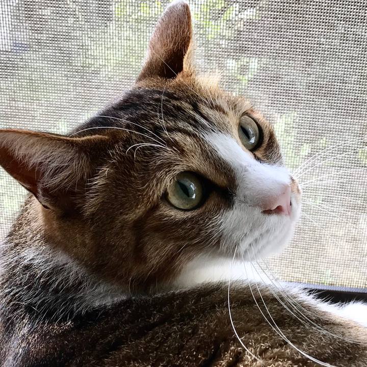 017b3d9a 1370 4e9c b0c6 65c162cd4e7e