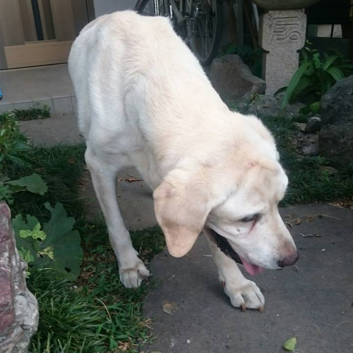 017b4e9f 236a 4f55 a694 4ba5f6d15170