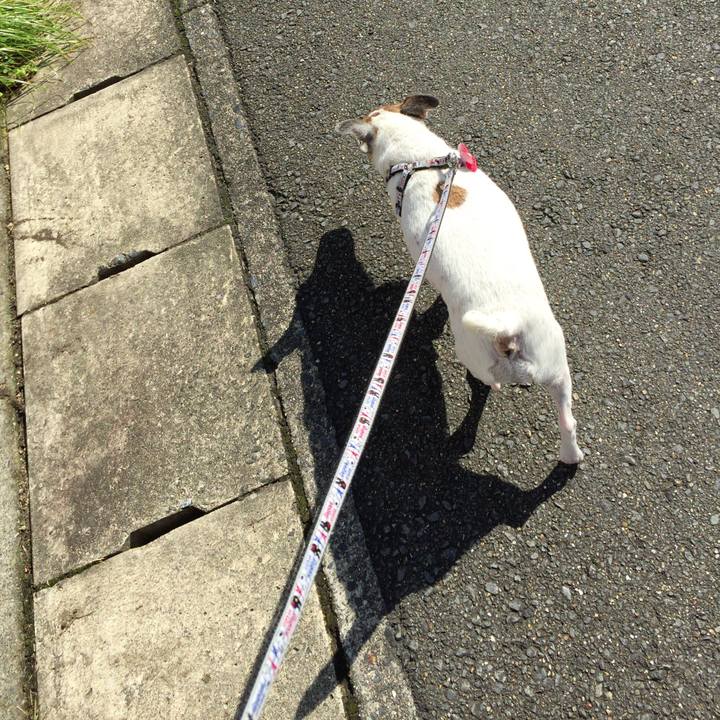 017b7aa0 c0a5 46c8 a90d f8553de7ce26