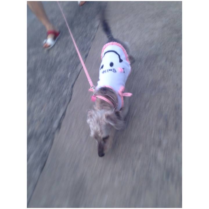 017c80ea 0201 4c68 abdb effbd9c7233c