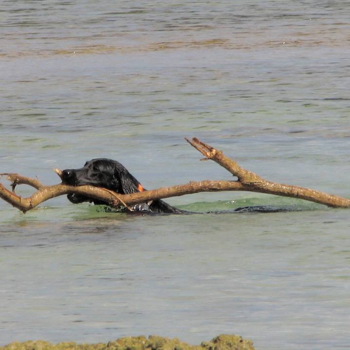 017cf6a2 669f 4d6b 873e fe5caf6018d3