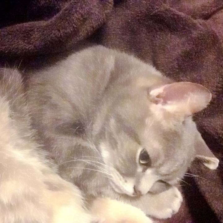 017d1230 e680 4c2e 85c3 6368273cd80a