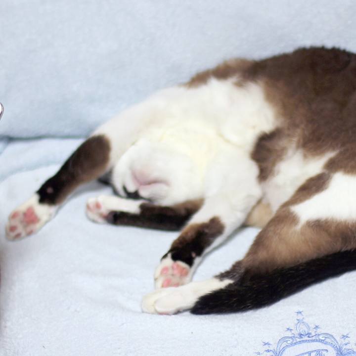 017d32d8 4117 459f 9ba9 74e74150d1d0