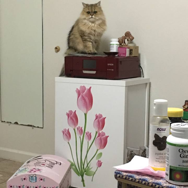 017d60a2 01b3 4552 ae7f 06dc82d752c3