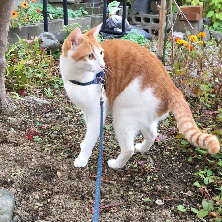 017d6172 7c8d 41a5 9f26 446d56ef6d4f