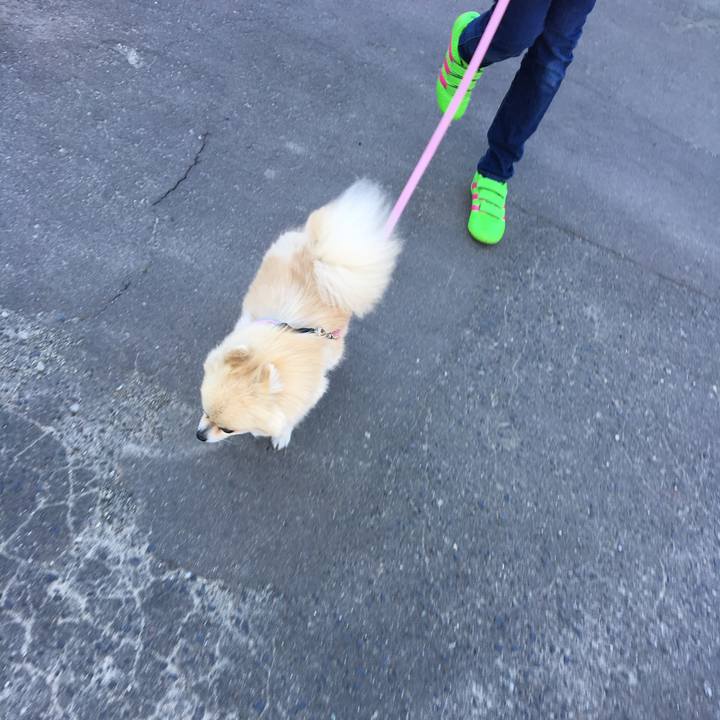 017da4cf 3836 44ad 9ee6 718af811e9fa