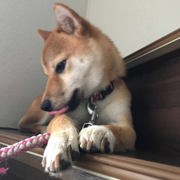 017e4d6b 338e 43df 807f 5277b5226ae3