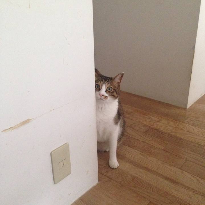 017e9217 a0b8 4ab4 897d 016a750344aa