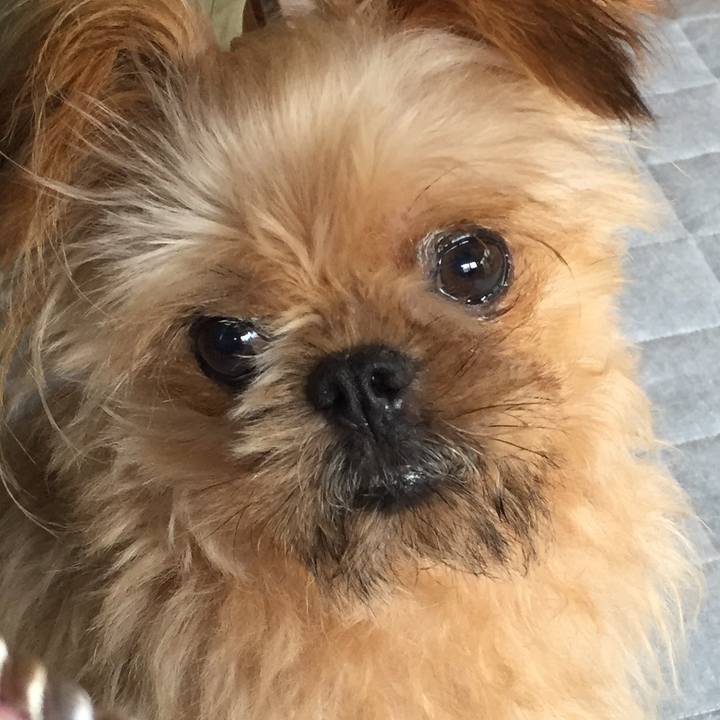 017eefa3 09d6 4cae b804 8aa462e60fc5