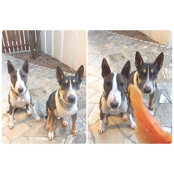 017f4ba6 5194 4b19 bbcf 239c79b907b8