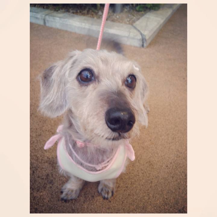 017f6a32 5d8f 436a 838c 1682808ae0fd