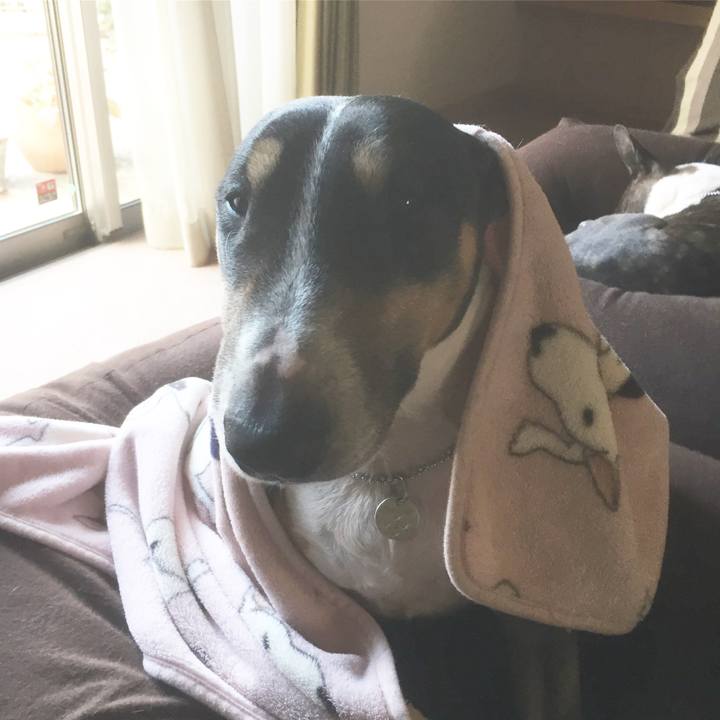 017fa143 43b1 4b63 ac61 25f40b8a4bdf