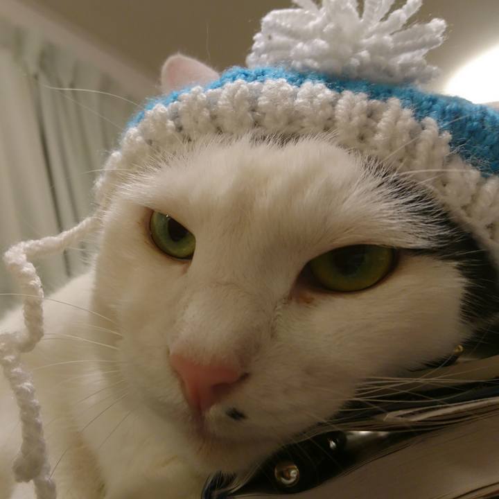 01806963 b321 486c b7da 5c722e38ccc4