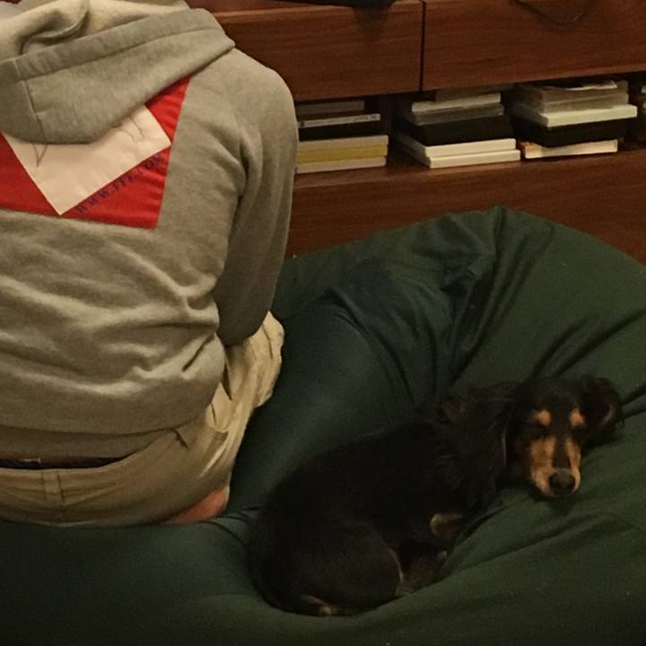 0180d86b fafc 44f8 8af9 55bd5a98e366