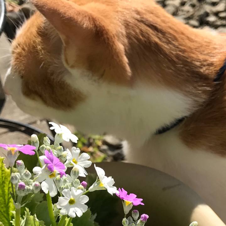 0180df3b 2c78 46a9 baa4 9785d5ec90d9