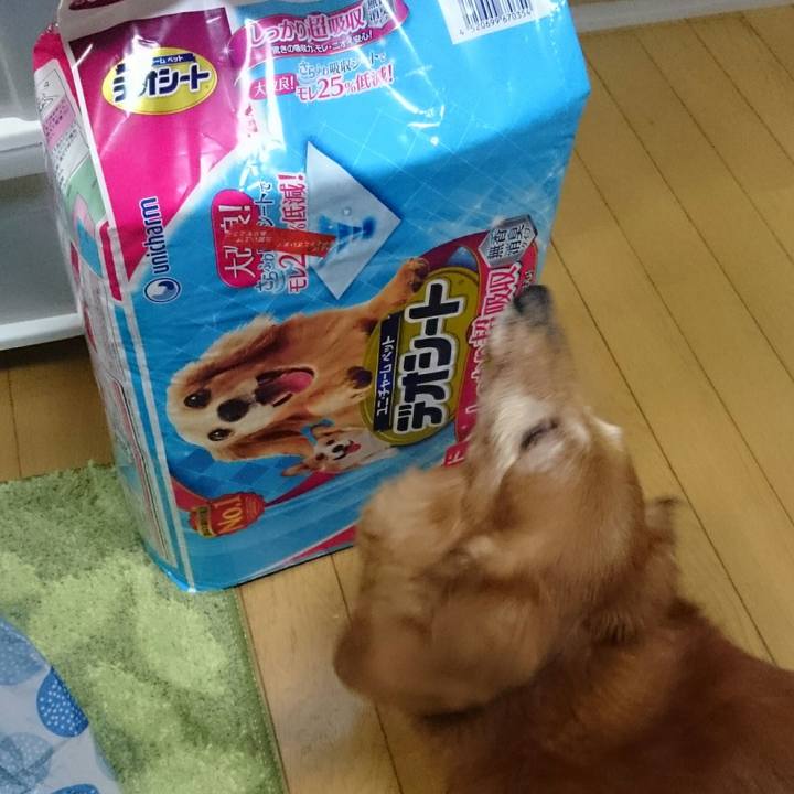 018107fa e5e7 42e7 a570 a095c34bdcd9