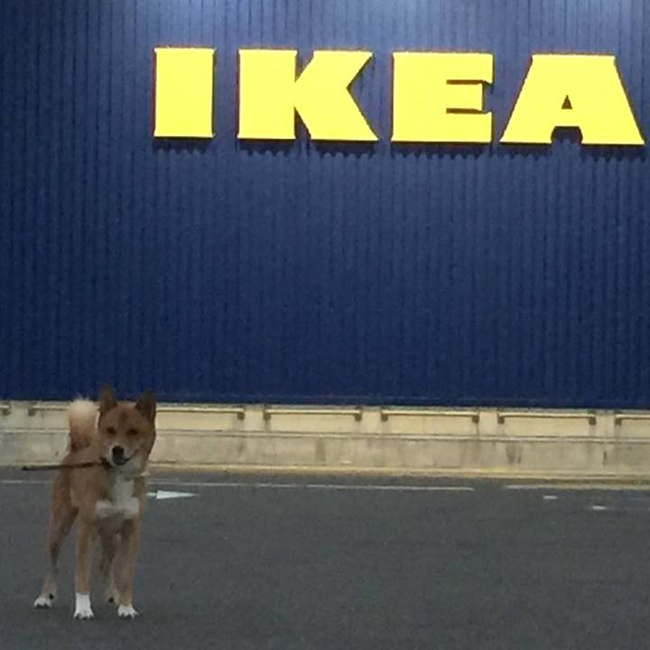 01810991 830d 49dd 96dc 109fe5bf6f05