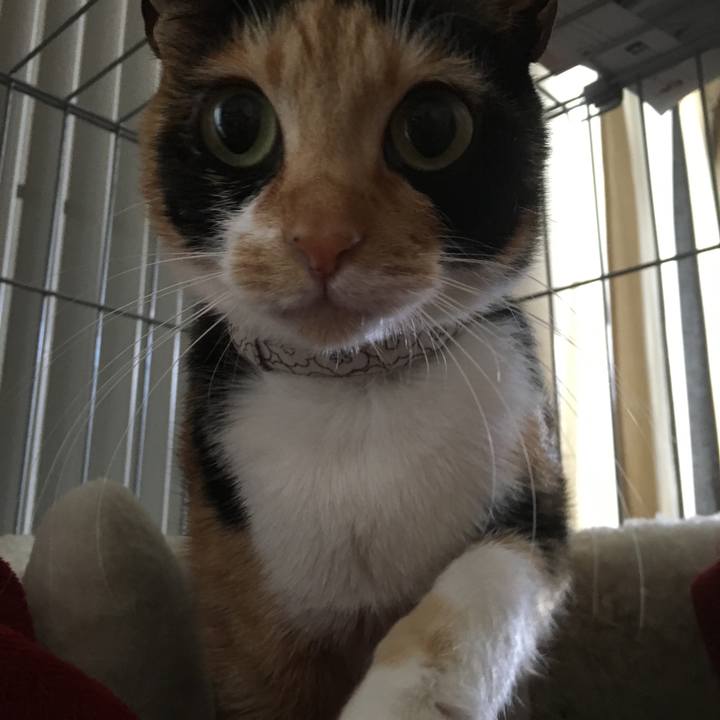 01812afa 758d 4511 b997 b0b886a630ba