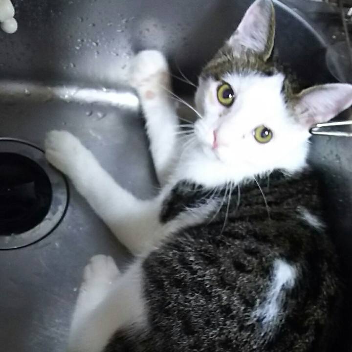 0181ca84 a400 49f7 b4c2 cbdda505c443