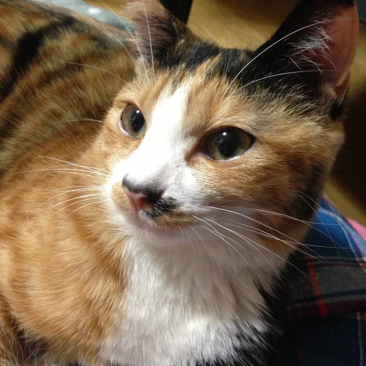 0182c9e4 3b0c 4af8 9efd 56bfc156c760