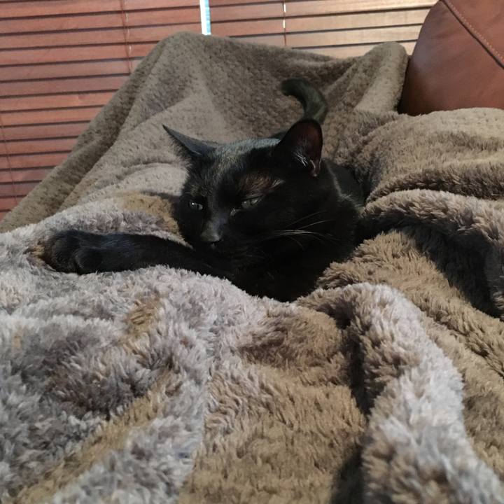 01836031 bf6e 46ca 9fc8 64178e2a4466