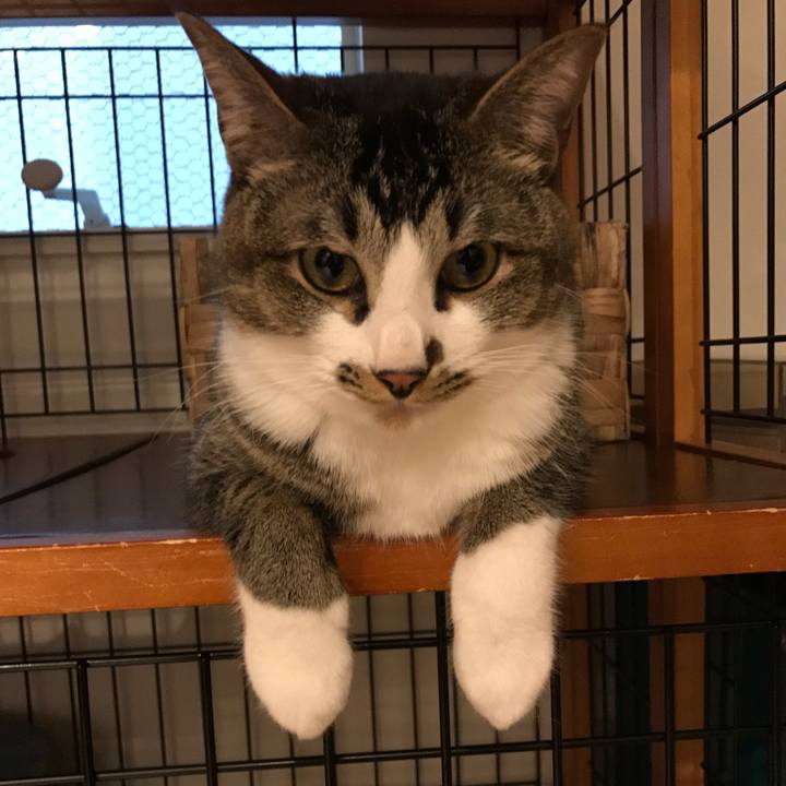 018485fb 7fb2 471b 8d15 233b4c0de396